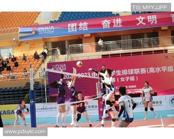 与刘娜对话回顾她的排球生涯与成长历程的精彩瞬间