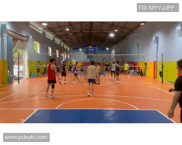 重庆排球队中路突破的成功与不足分析及未来发展方向探讨