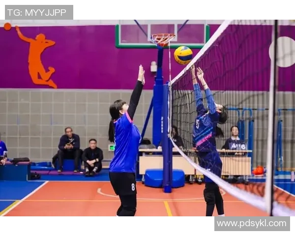 北京排球队在全国排球团队协作排名中创下历史新高展现团队精神与实力